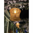Soul Suspension Lamp
